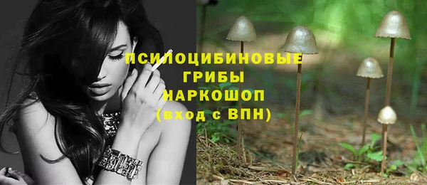 соль ск Бронницы